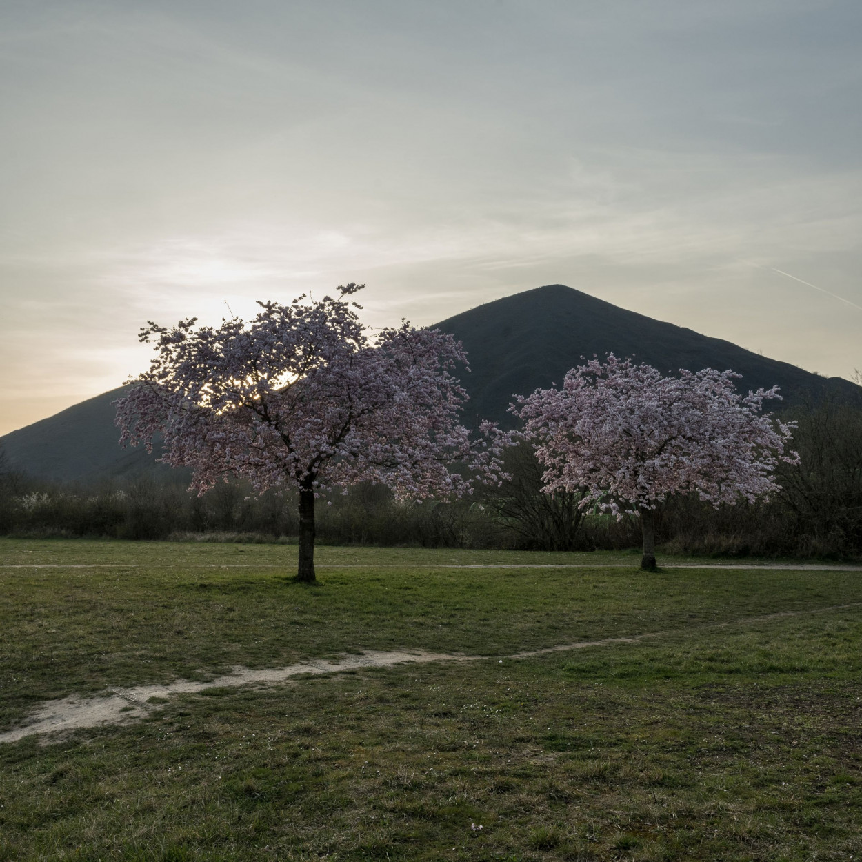 Se transformer sans oublier ses racines. Loos-en-Gohelle: metamorphosis that embraces the past